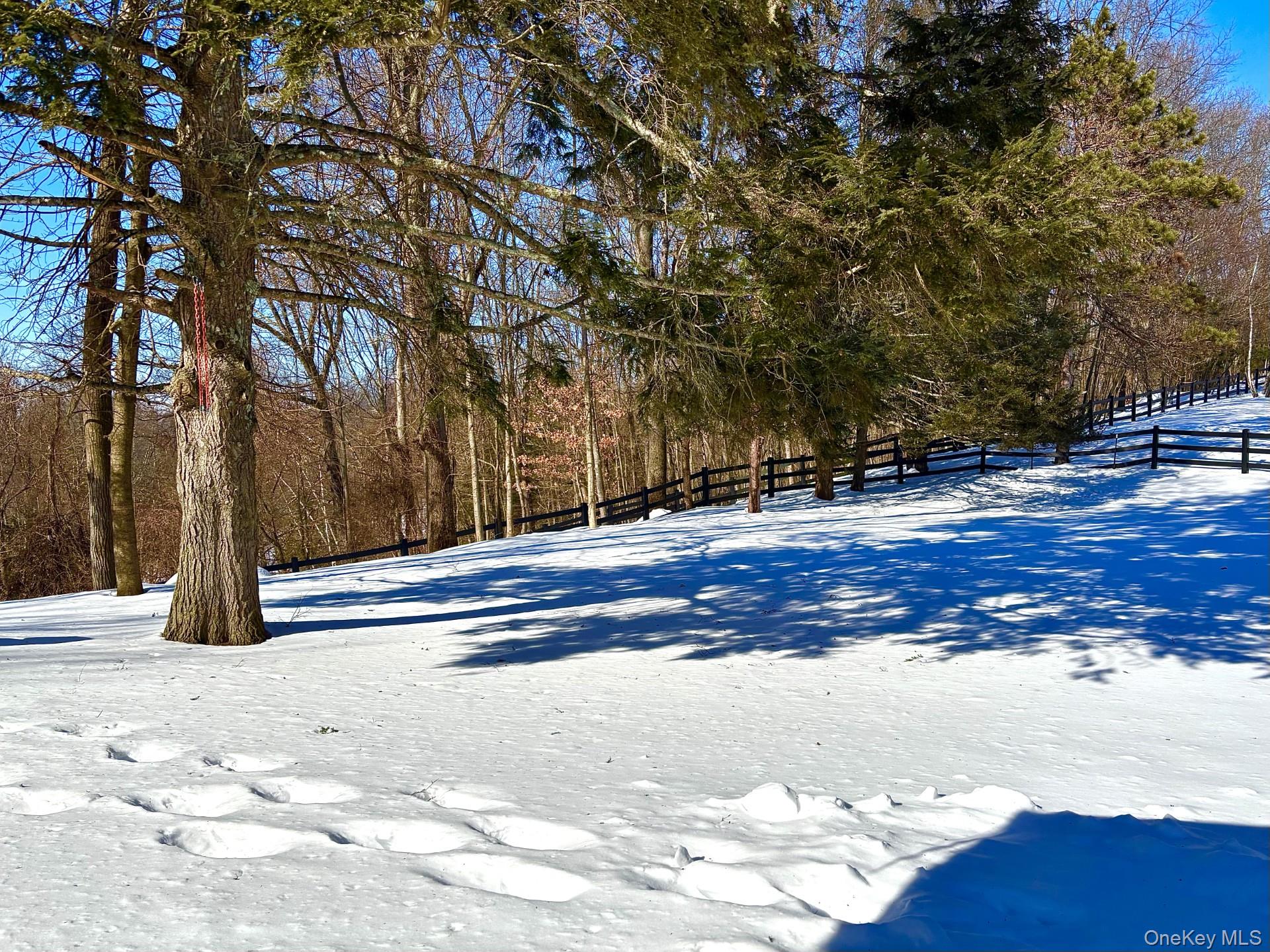 71 Frost Road Rhinebeck, NY 12572 - Photo 30 of 32 Open land buffered by trees