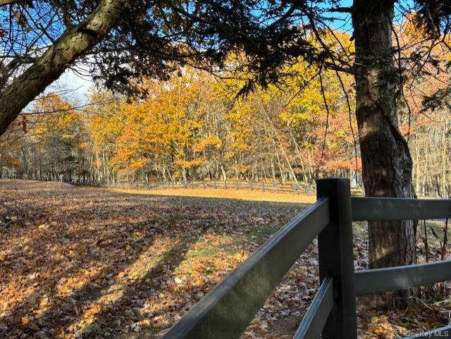 71 Frost Road Rhinebeck, NY 12572 - Photo 4 of 32 Fenced meadows & trees