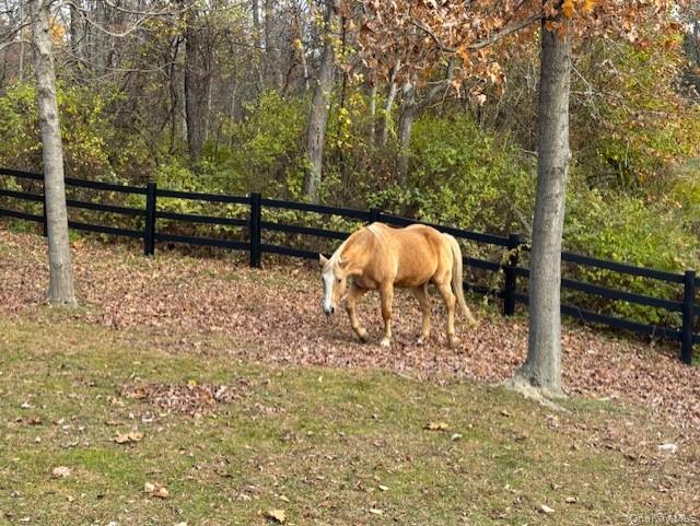 71 Frost Road Rhinebeck, NY 12572 - Photo 5 of 32 Perfect for animals