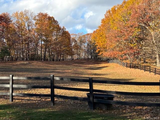 71 Frost Road Rhinebeck, NY 12572 - Photo 8 of 32 View from the backyard