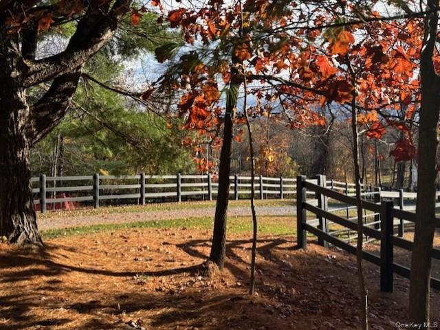 71 Frost Road Rhinebeck, NY 12572 - Photo 10 of 32 Serene & beautiful