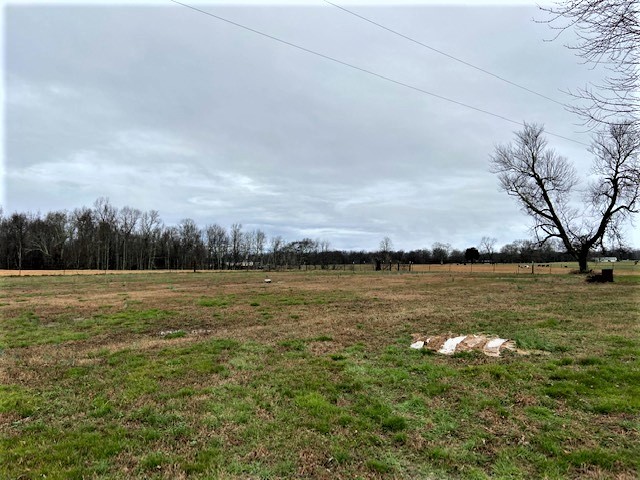 27 Jeans Road Fayetteville, TN 37334 - Photo 3 of 17 Gallery Image 3
