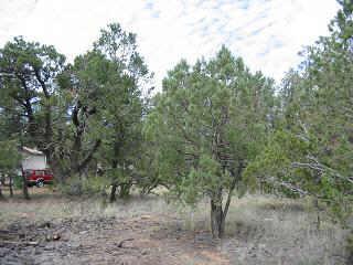 2140 Wildflower Road, Unit 160 Overgaard, AZ 85933 - Photo 3 of 5 Additional Photo