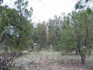 2140 Wildflower Road, Unit 160 Overgaard, AZ 85933 - Photo 4 of 5 Additional Photo
