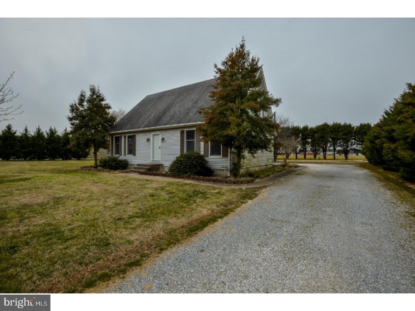 875 Gun And Rod Club Road Harrington, DE 19952 - Photo 10 of 24 Gallery Image 10