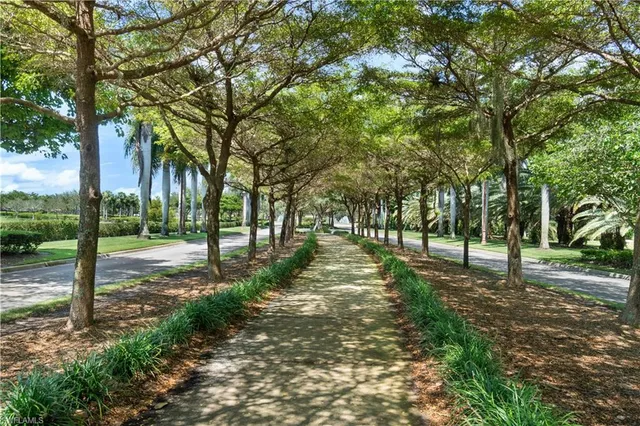a view of a park with tree s