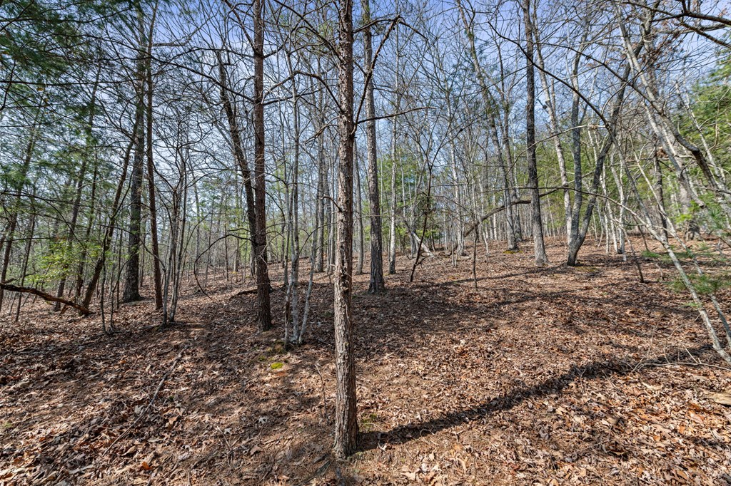 3 Old Mill Road Mineral Bluff, GA 30559 - Photo 18 of 45 Gallery Image 18