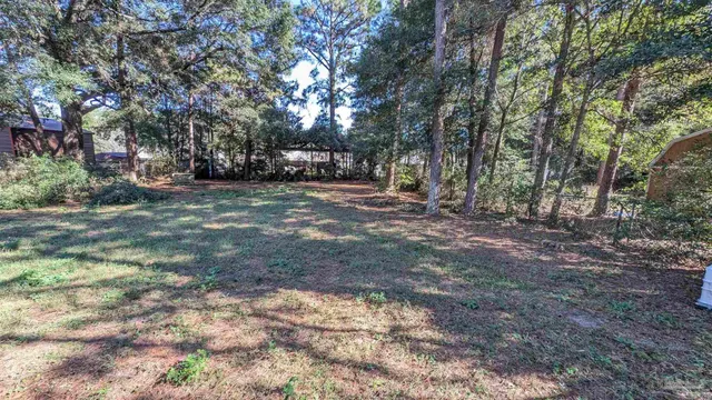 a view of a tree in front of a house