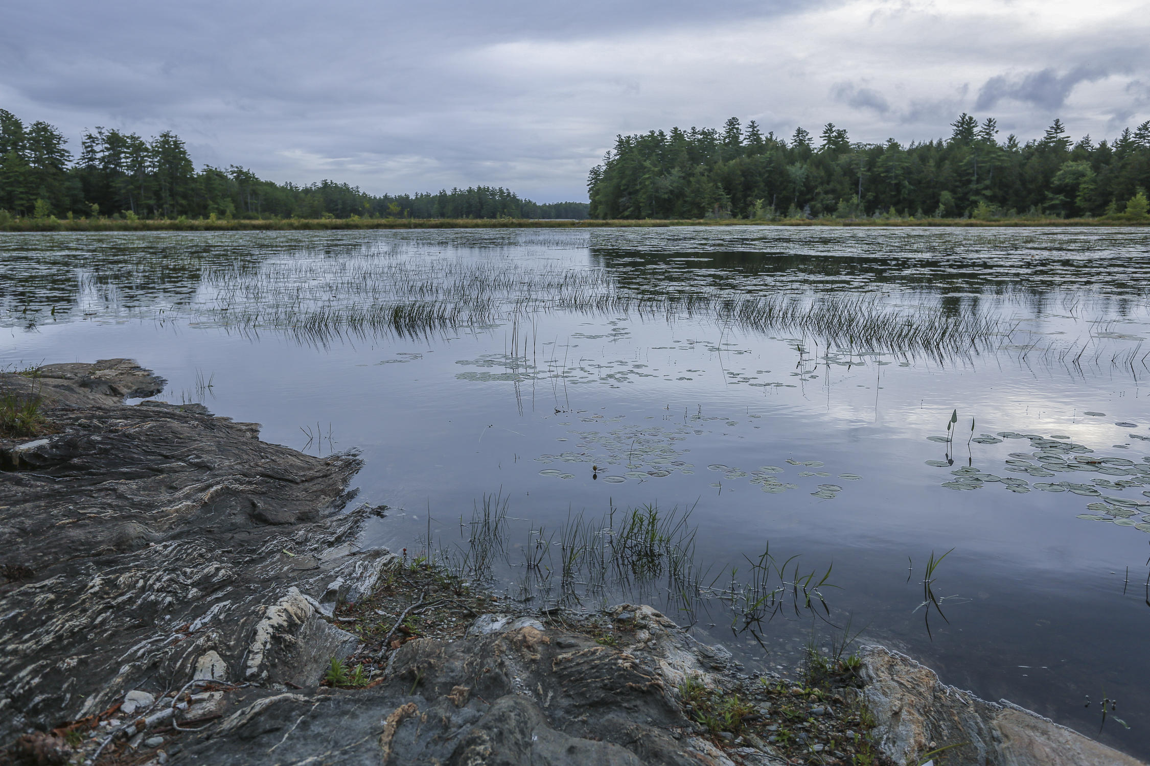 17 Lower View Point Liberty, ME 04949 - Photo 16 of 29 17viewPoint-24