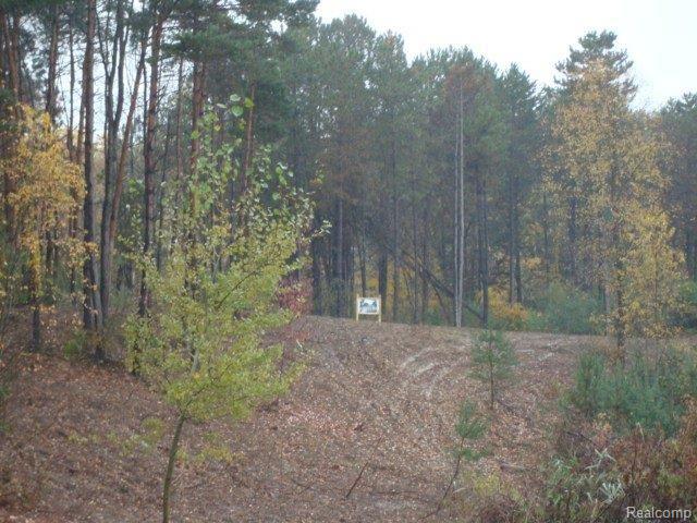 2 Campground Road Romeo, MI 48065 - Photo 6 of 7