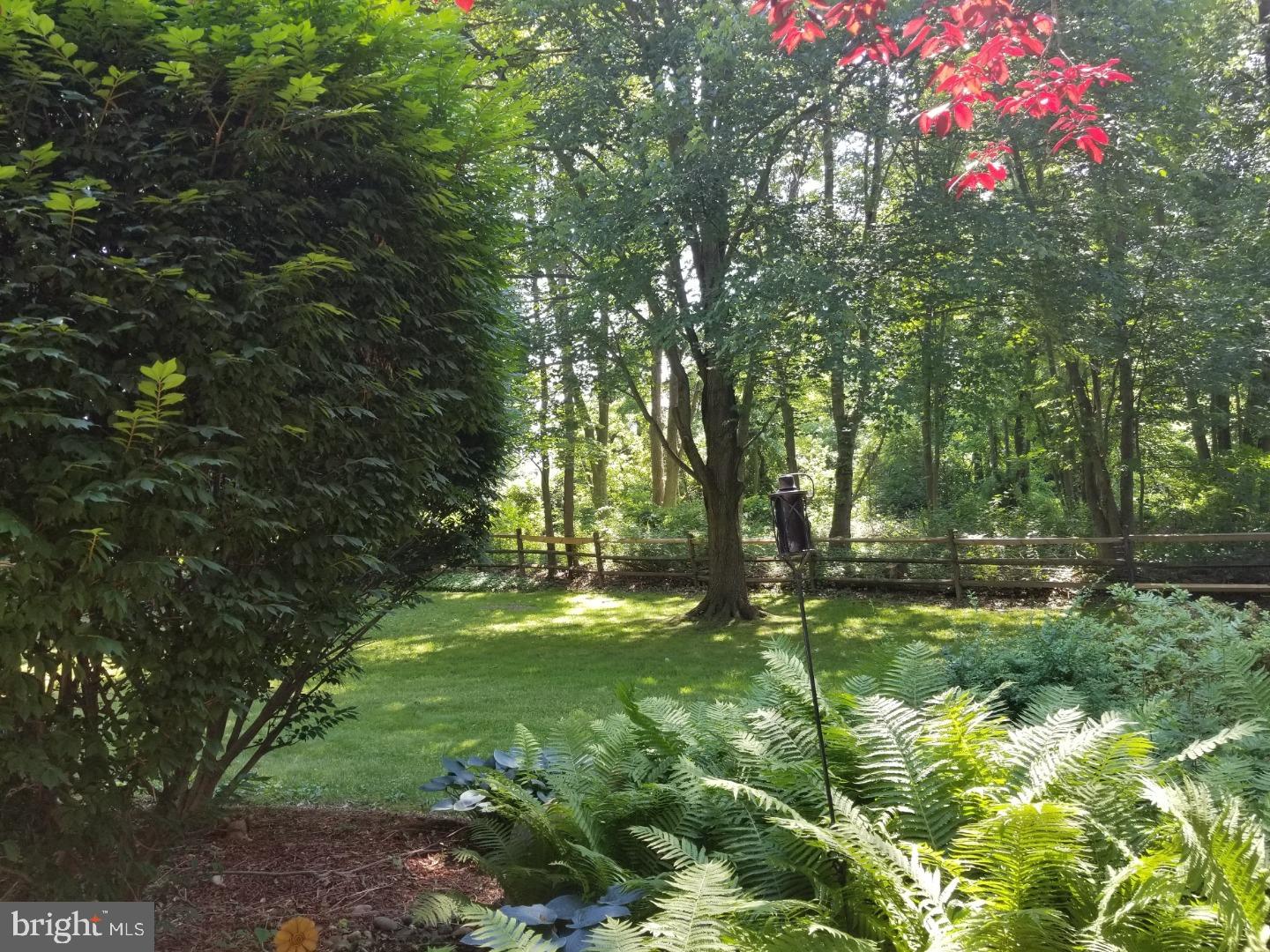 2025 Terwood Road Huntingdon Valley, PA 19006 - Photo 11 of 25 Back Yard