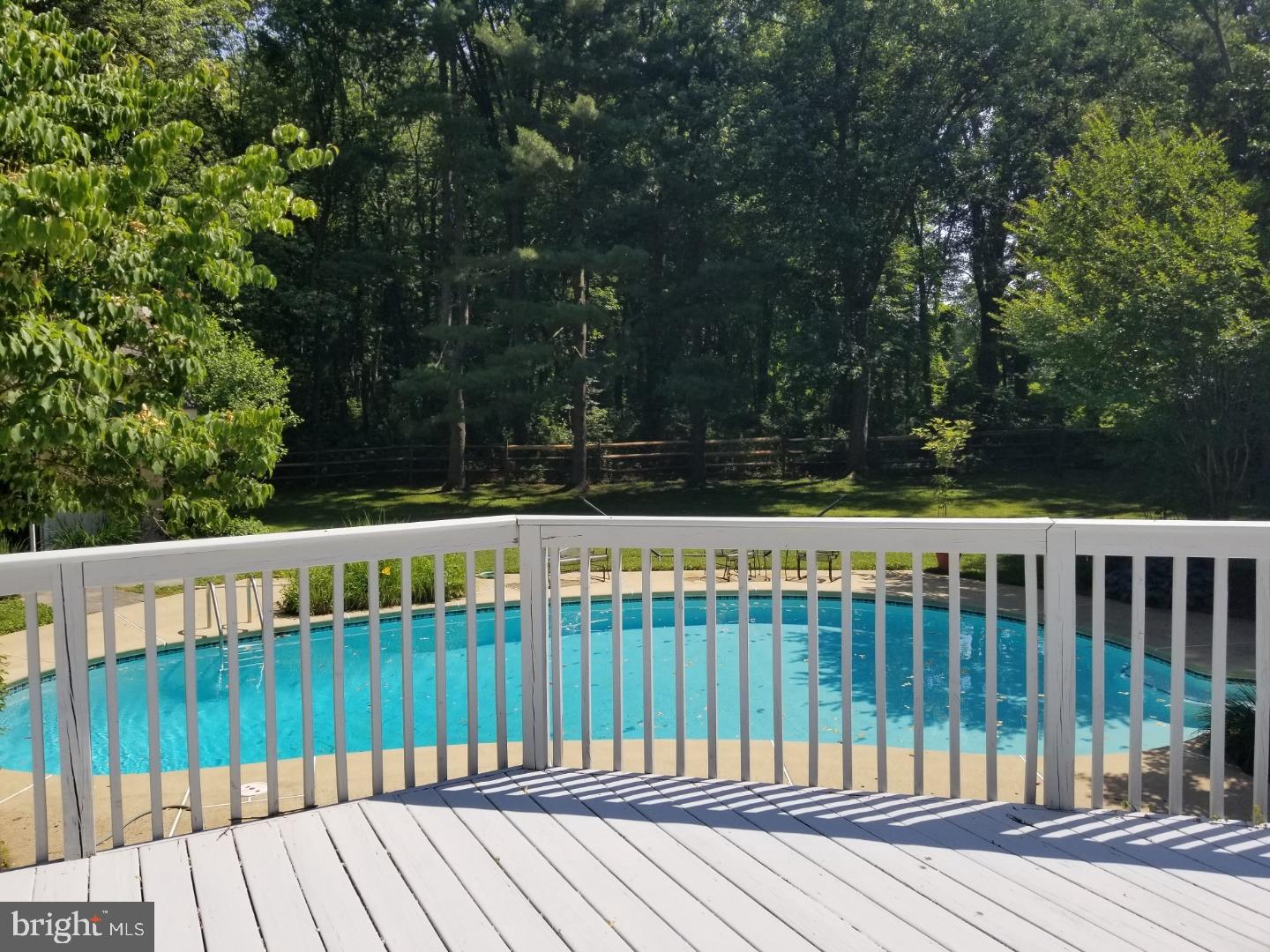 2025 Terwood Road Huntingdon Valley, PA 19006 - Photo 9 of 25 Pool
