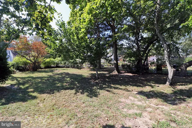 a view of a tree in the middle of a yard