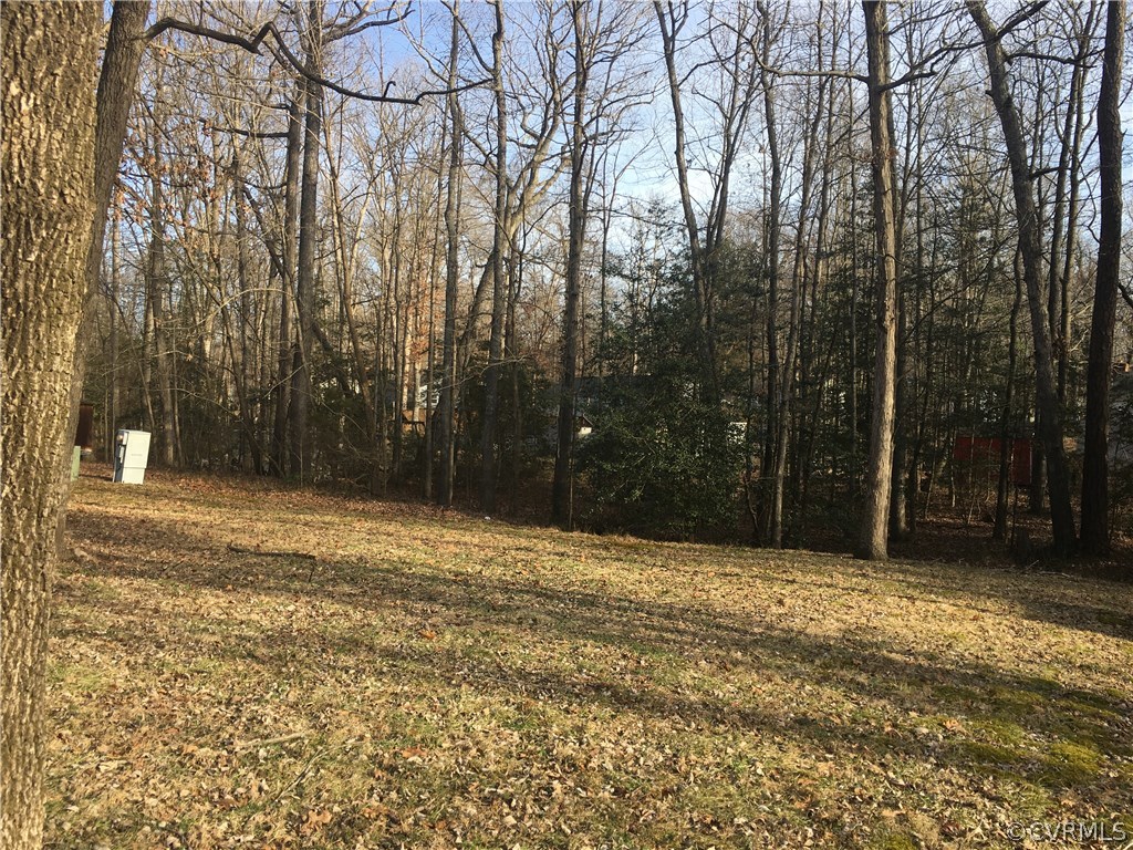 5253 Rollingway Road Chesterfield, VA 23832 - Photo 4 of 16 a view of a yard with trees