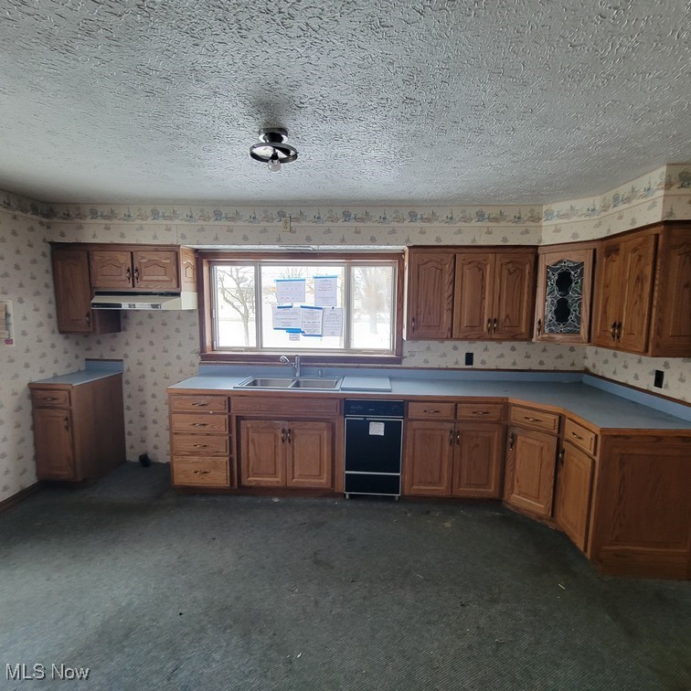 38227 Chestnut Ridge Road Elyria, OH 44035 - Photo 7 of 36 Kitchen with brown cabinets, light countertops, a textured ceiling, dark colored carpet, and under cabinet range hood