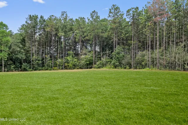 $1,499,000 | 17341 Doc Lizana Road, Gulfport, MS 39503