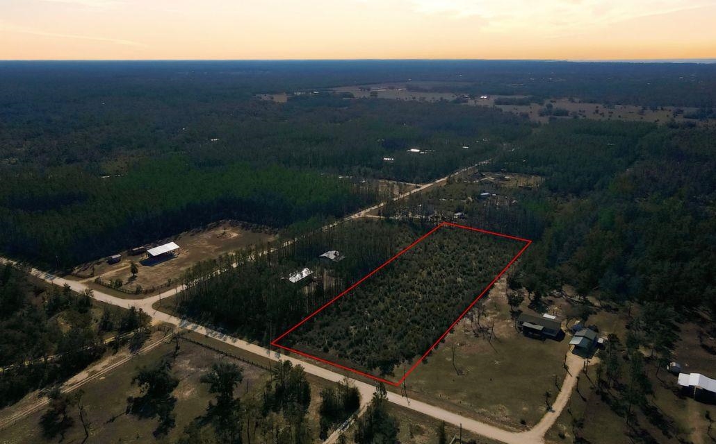 Tbd Ocean Pond Road Perry, FL 32348 - Photo 5 of 9
