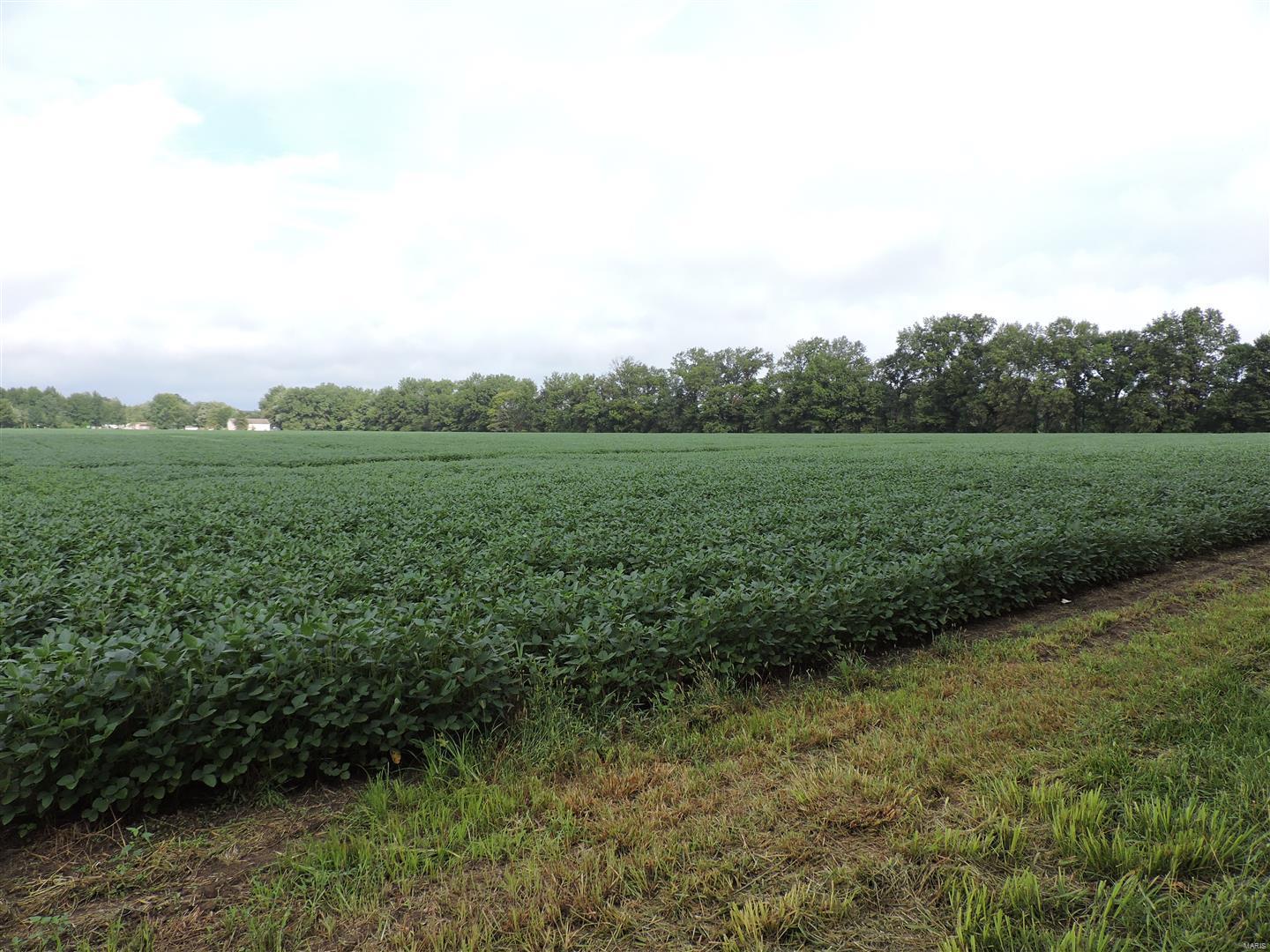 0 State Rte 4 Road Vergennes, IL 62994 - Photo 1 of 8