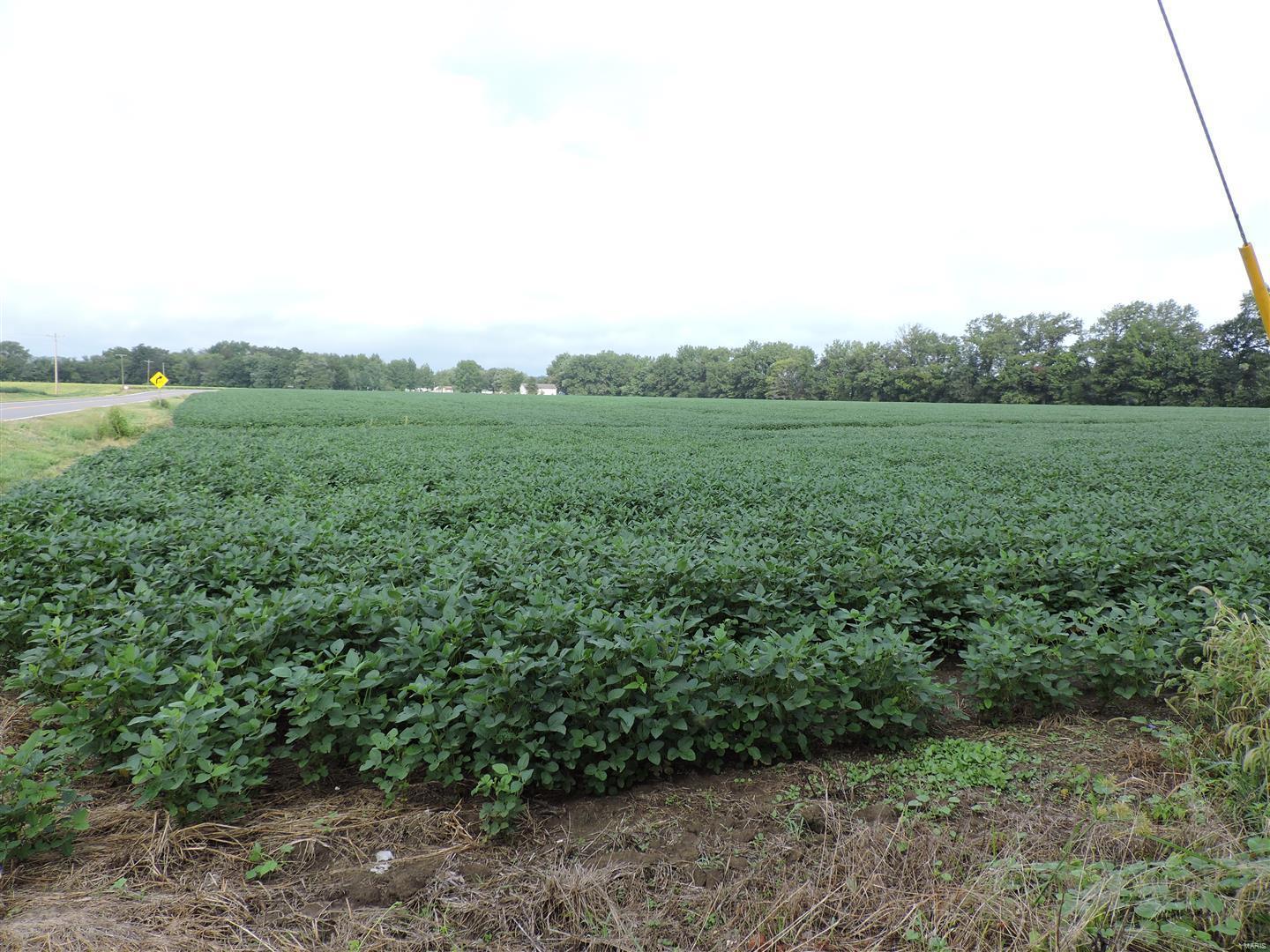 0 State Rte 4 Road Vergennes, IL 62994 - Photo 3 of 8