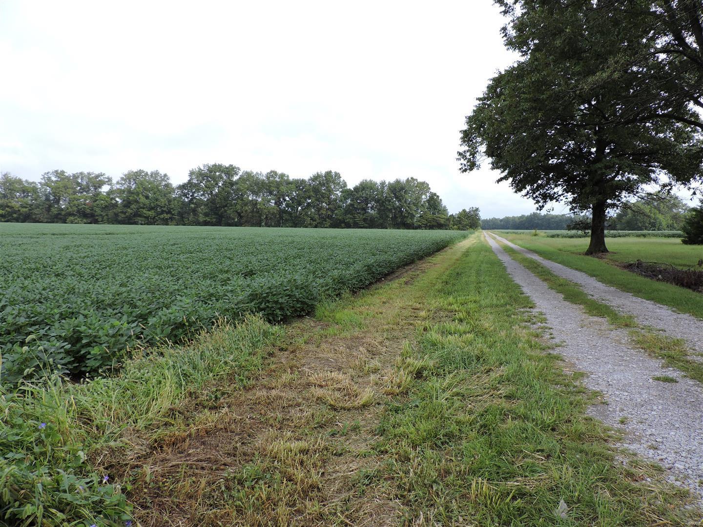 0 State Rte 4 Road Vergennes, IL 62994 - Photo 4 of 8