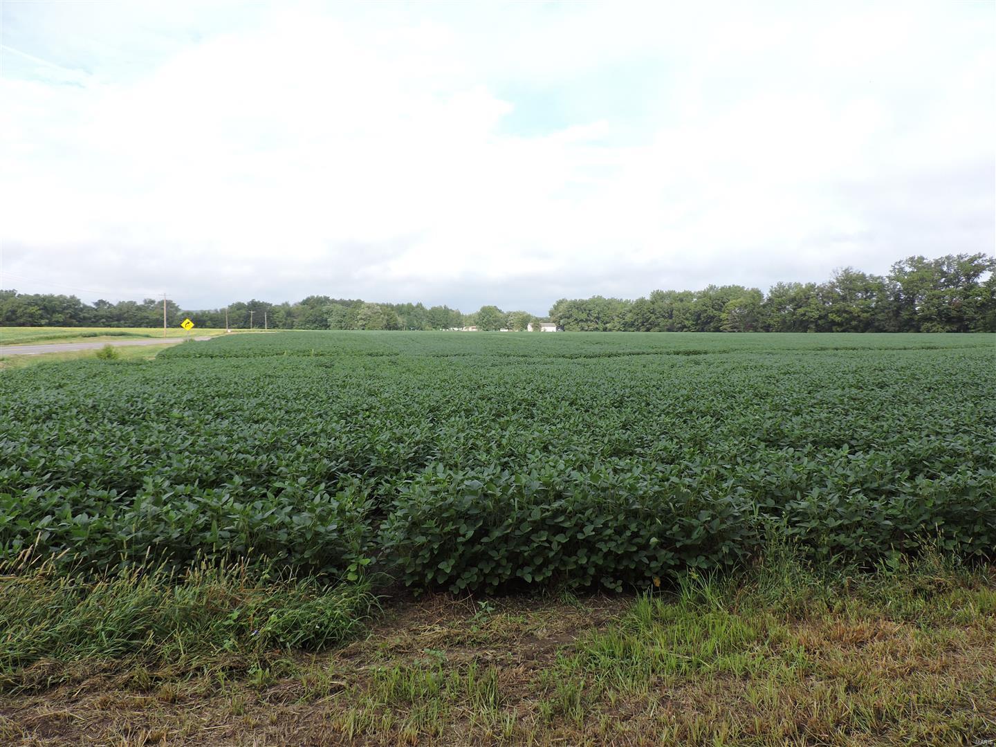 0 State Rte 4 Road Vergennes, IL 62994 - Photo 6 of 8