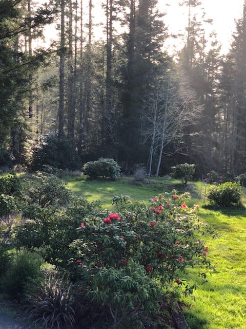 1465 Splinter Ln Bayside Lane Arcata, CA 95521 - Photo 28 of 40
