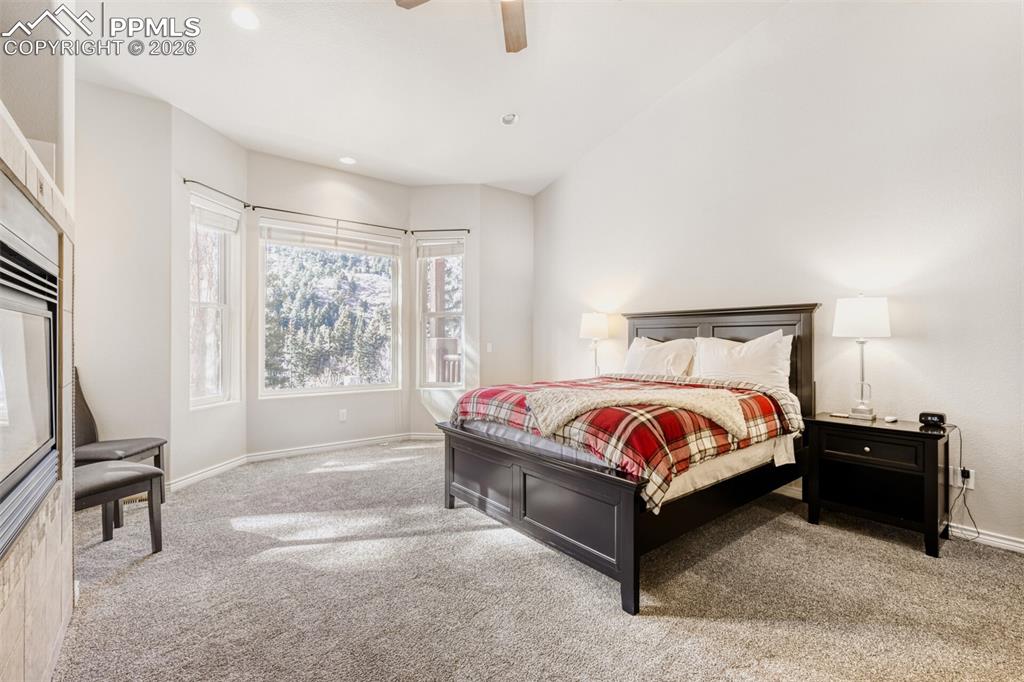 4519 Edwards Place Cascade, CO 80809 - Photo 18 of 47 Bedroom with fireplace and wonderful mountain views, brand new carpet