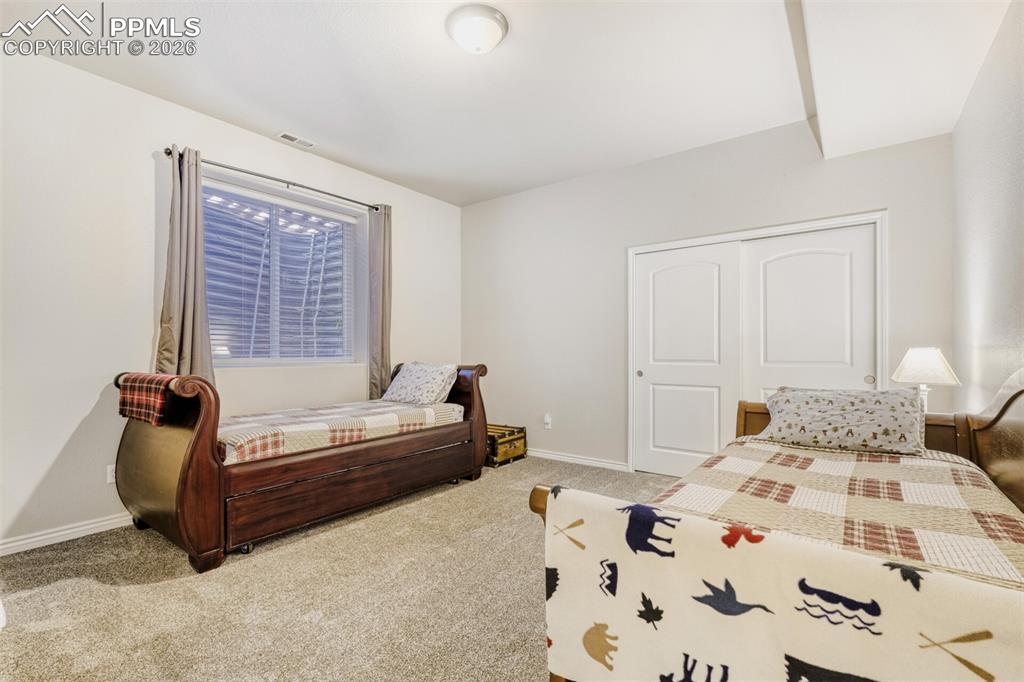 4519 Edwards Place Cascade, CO 80809 - Photo 32 of 47 4th basement bedroom with brand new carpet