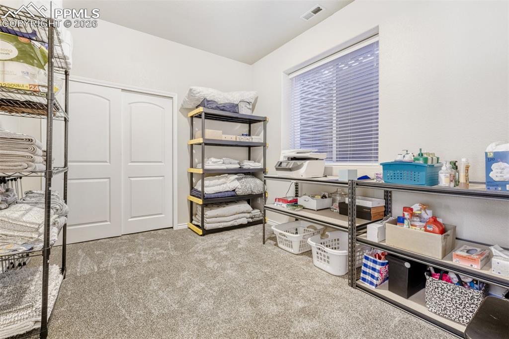 4519 Edwards Place Cascade, CO 80809 - Photo 33 of 47 5th bedroom used as storage in the basement