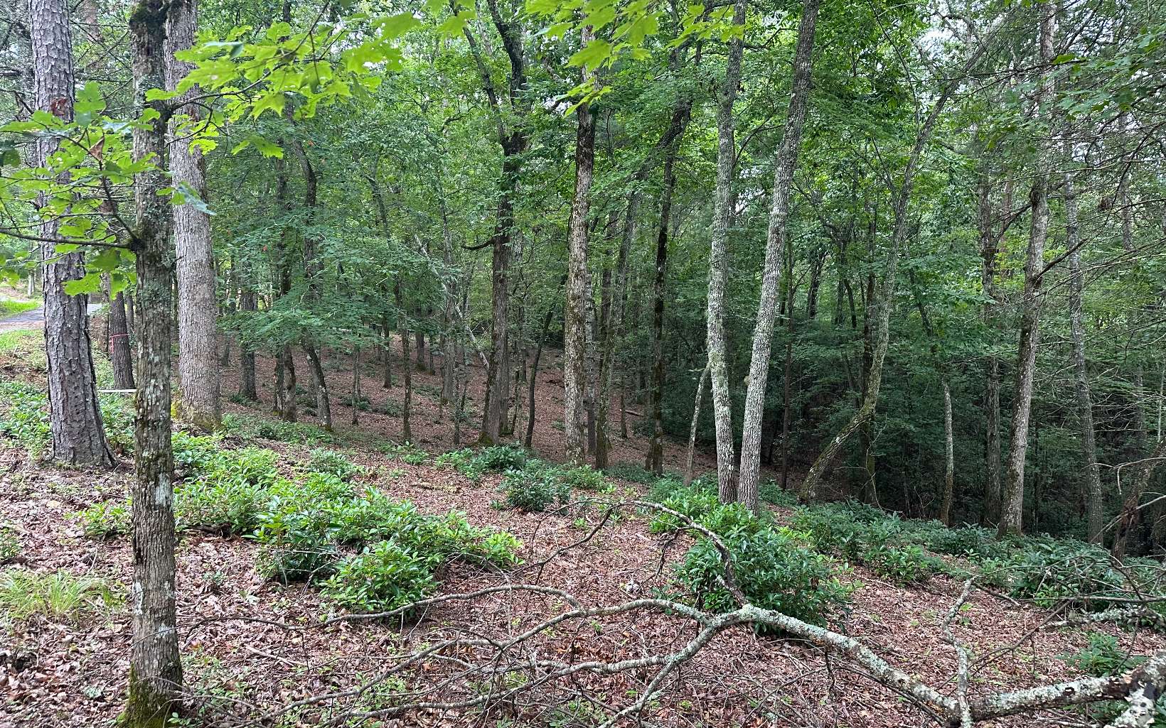 22 Brasstown Trl  
