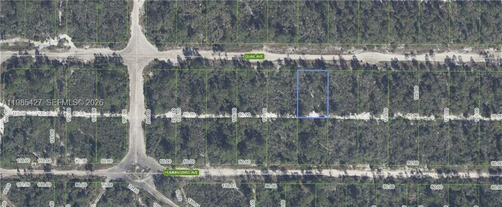 637 Quail Avenue Sebring, FL 33870 - Photo 3 of 5 a view of swimming pool and trees in the background