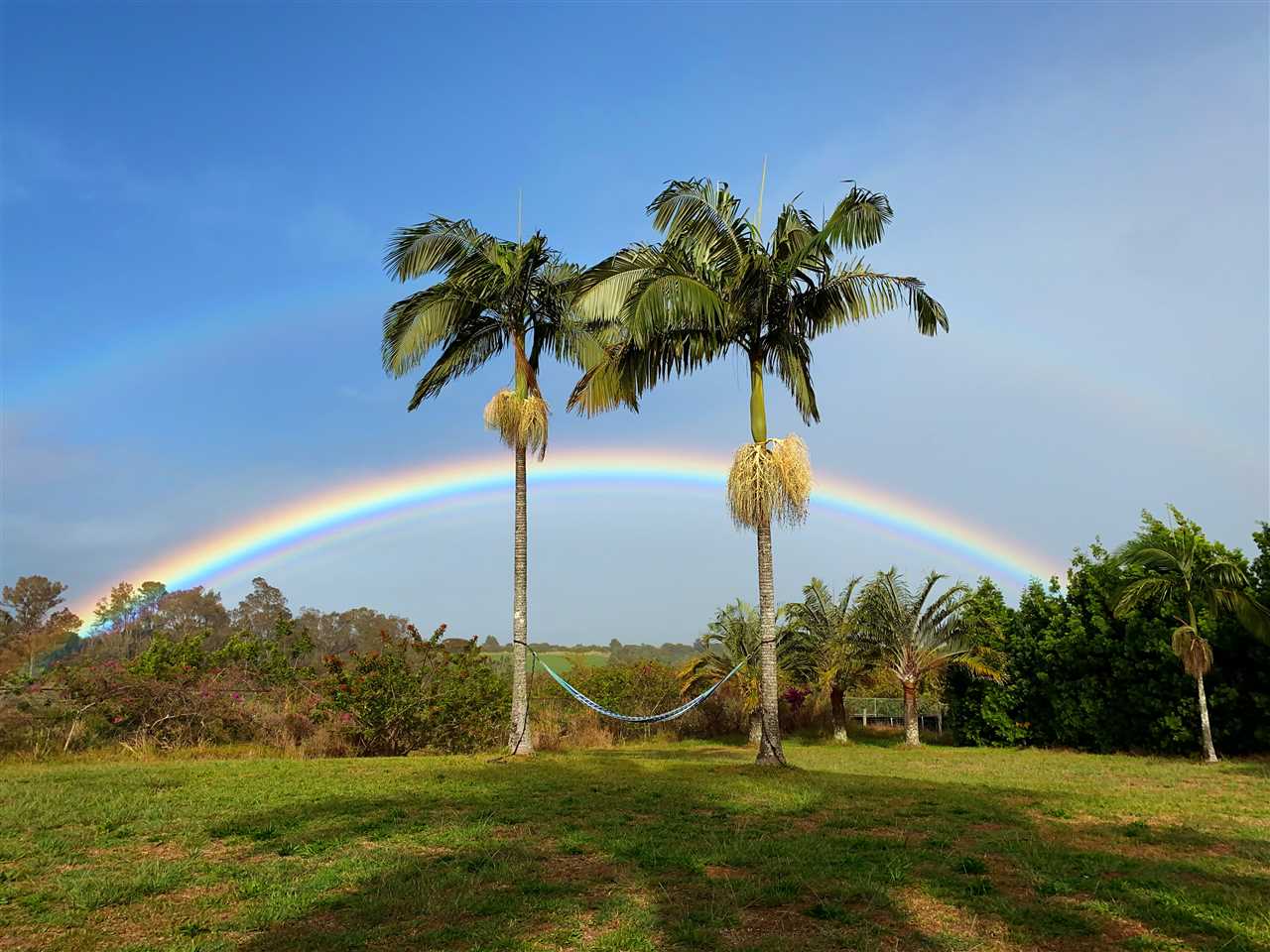 100 Laenani Street Haiku, HI 96708 - Photo 27 of 30 a view of a garden