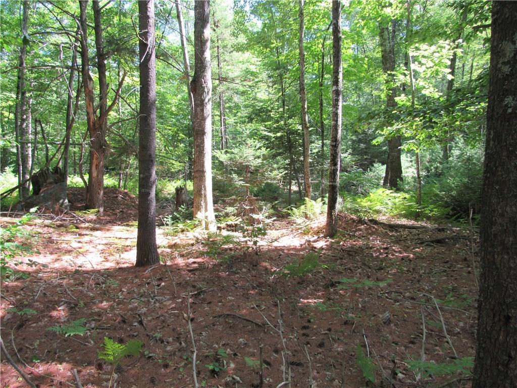 0 Boothby Road Limington, ME 04049 - Photo 10 of 11 Photo