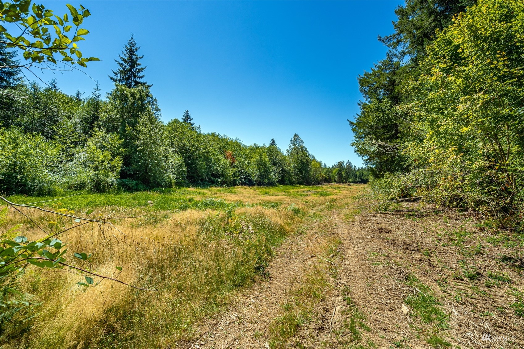 113-89 Beck Road, Unit 4 Onalaska, WA 98570 - Photo 1 of 39 Gallery Image 1