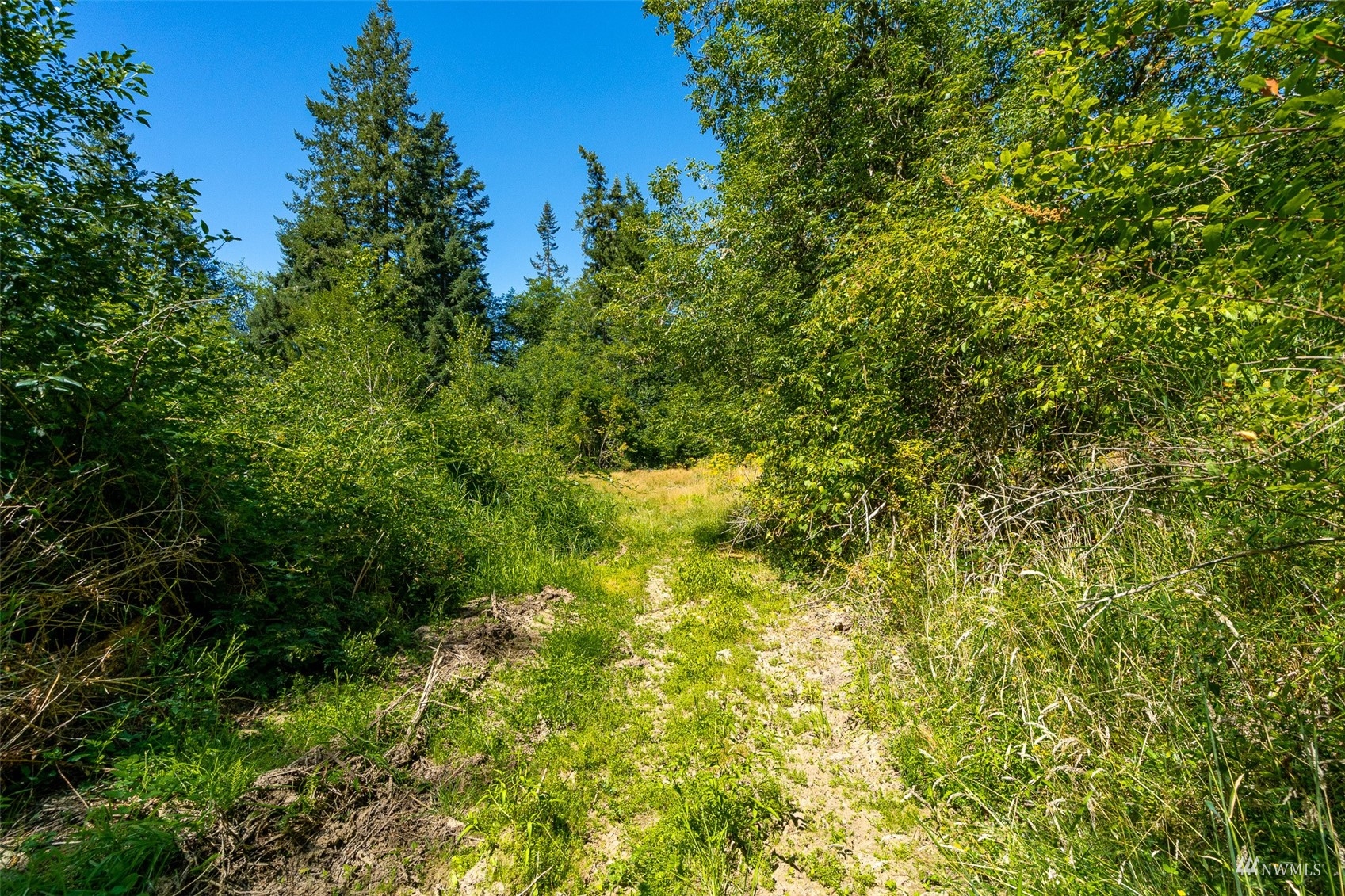 113-89 Beck Road, Unit 4 Onalaska, WA 98570 - Photo 12 of 39 Gallery Image 12