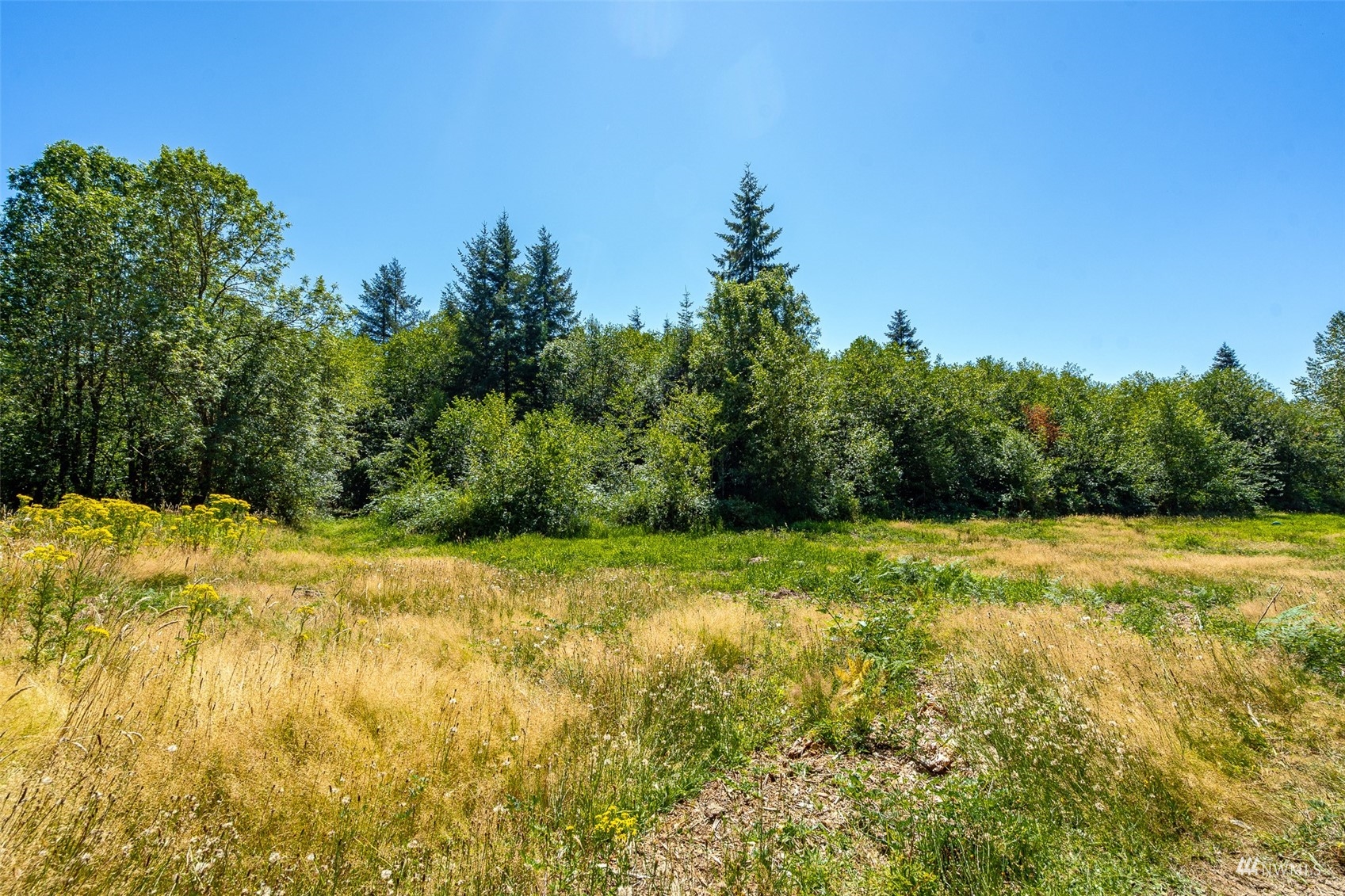 113-89 Beck Road, Unit 4 Onalaska, WA 98570 - Photo 2 of 39 Gallery Image 2
