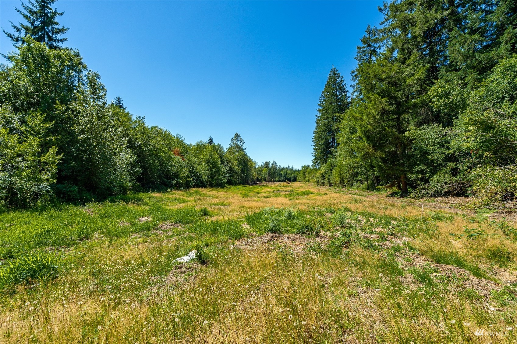 113-89 Beck Road, Unit 4 Onalaska, WA 98570 - Photo 3 of 39 Gallery Image 3