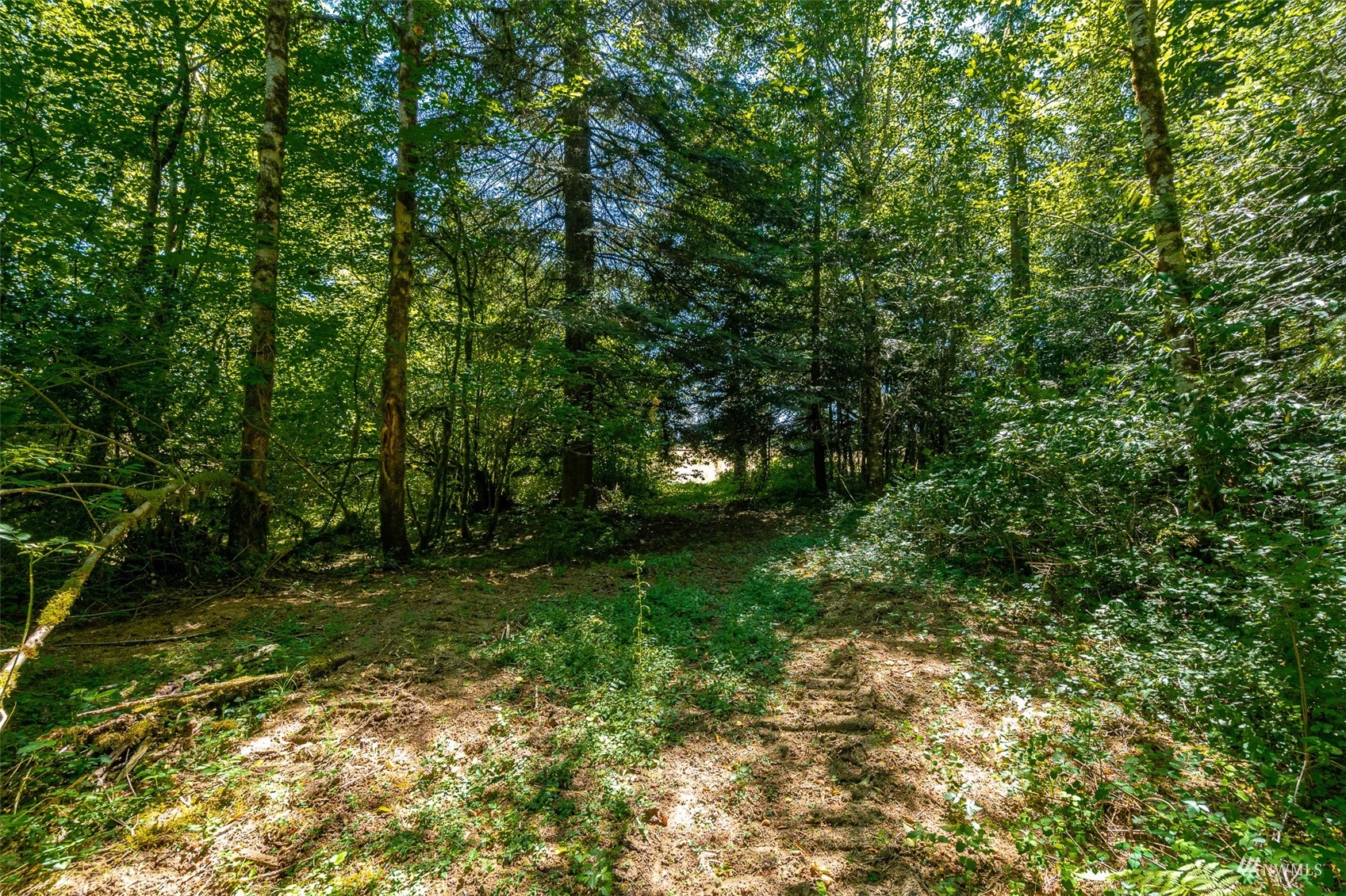 113-89 Beck Road, Unit 4 Onalaska, WA 98570 - Photo 8 of 39 Gallery Image 8