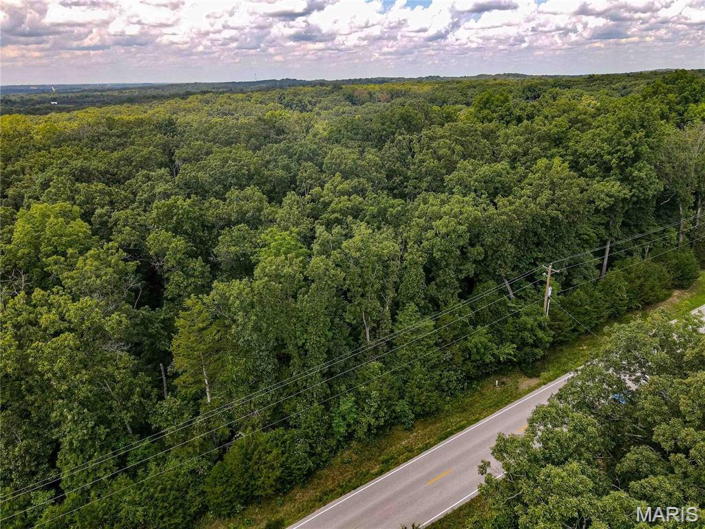 1811 Hendricks Road Lonedell, MO 63060 - Photo 5 of 5