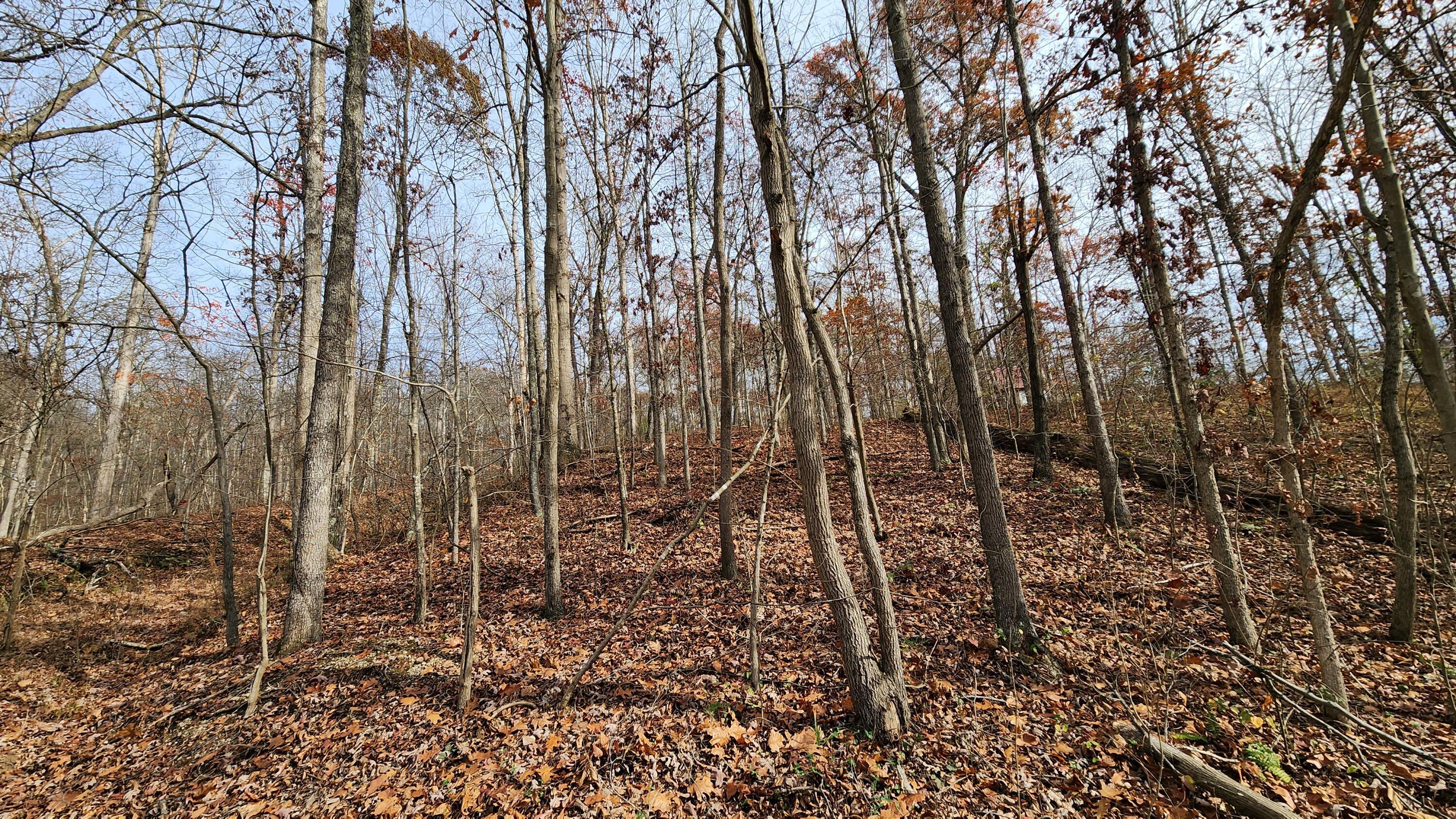 0 Jisco Road, Unit TRACT B) Jackson, OH 45640 - Photo 37 of 43 37