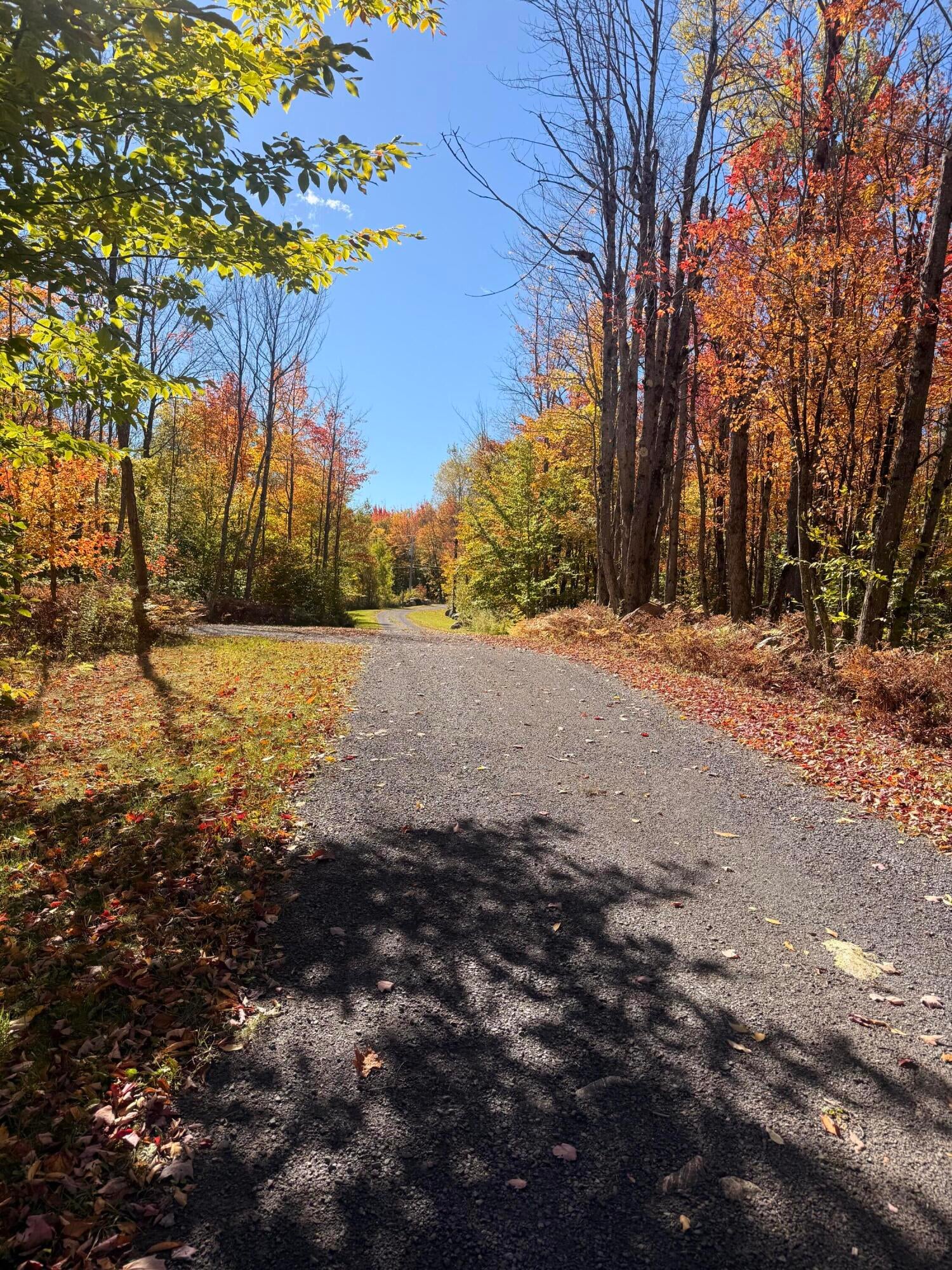 58 Hewitt Road St. Regis Falls, NY 12980 - Photo 130 of 139 Gallery Image 130