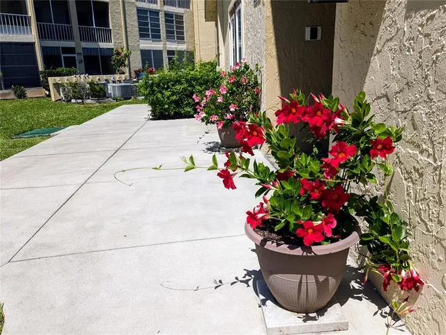 a view of a potted plant sitting in front of a house