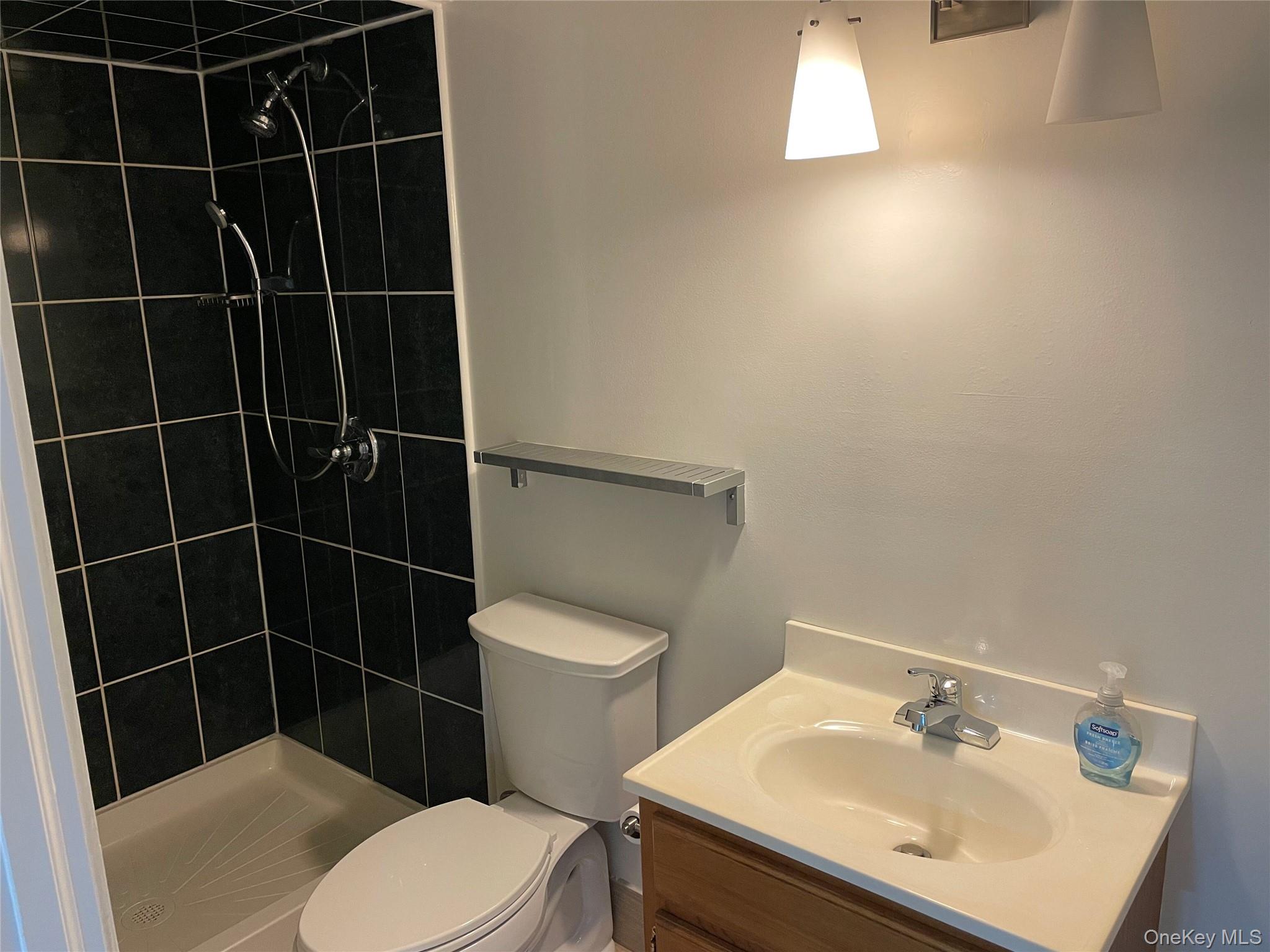 8 Cameron Lane Valley Stream, NY 11581 - Photo 19 of 33 Basement Bathroom