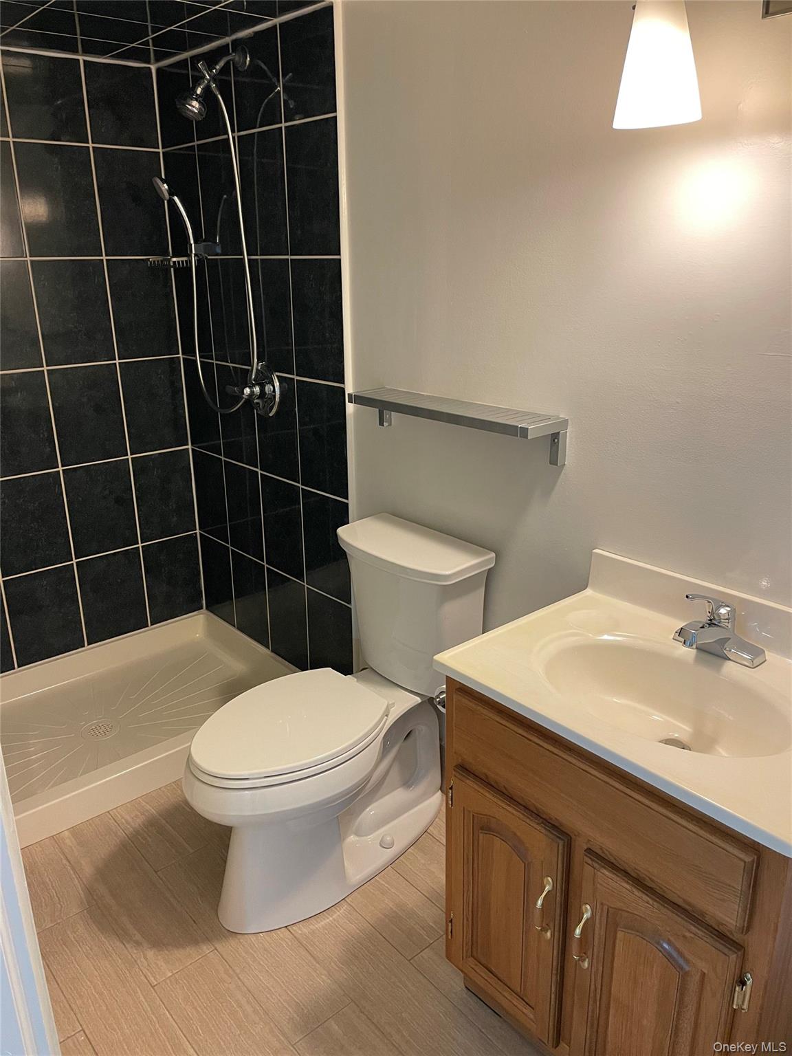 8 Cameron Lane Valley Stream, NY 11581 - Photo 20 of 33 Basement Bathroom