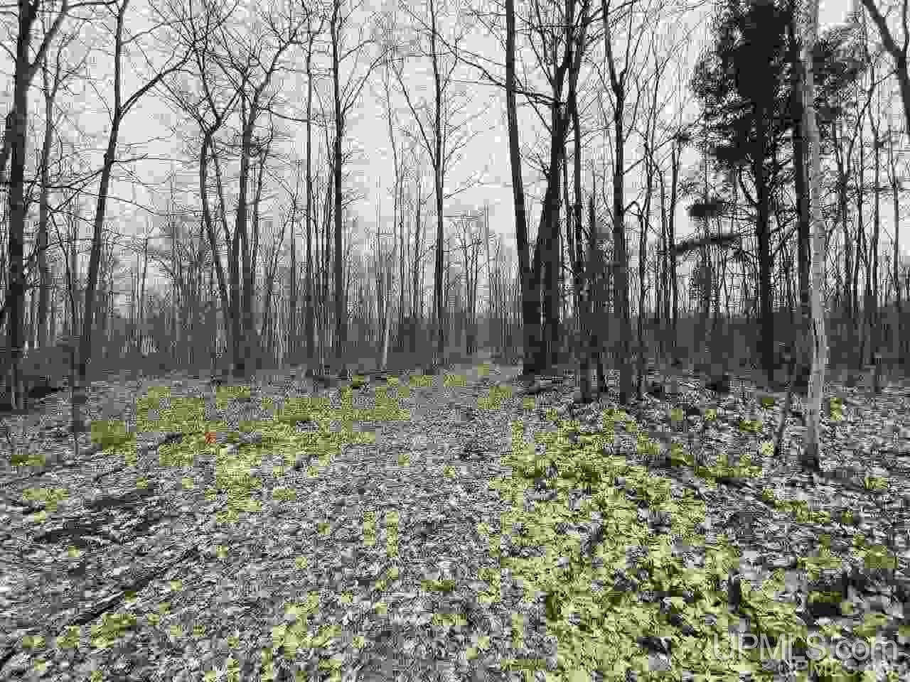 Tbd Plains Cutoff Road Baraga, MI 49908 - Photo 18 of 49