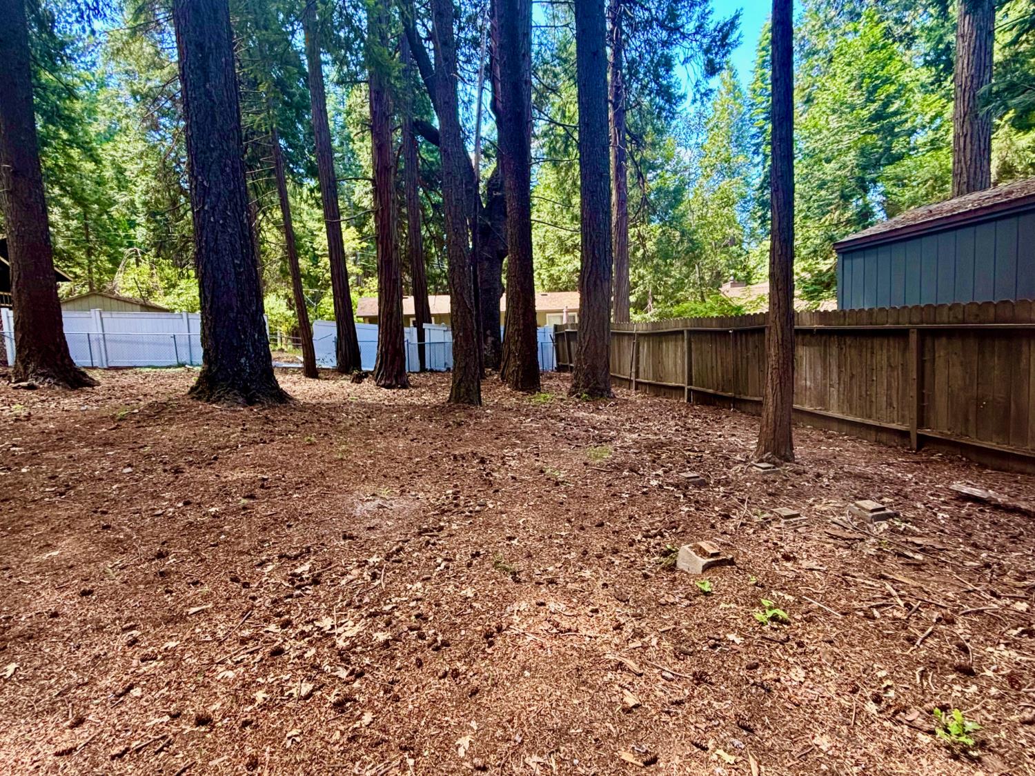6930 Ridgeway Drive Pollock Pines, CA 95726 - Photo 6 of 24