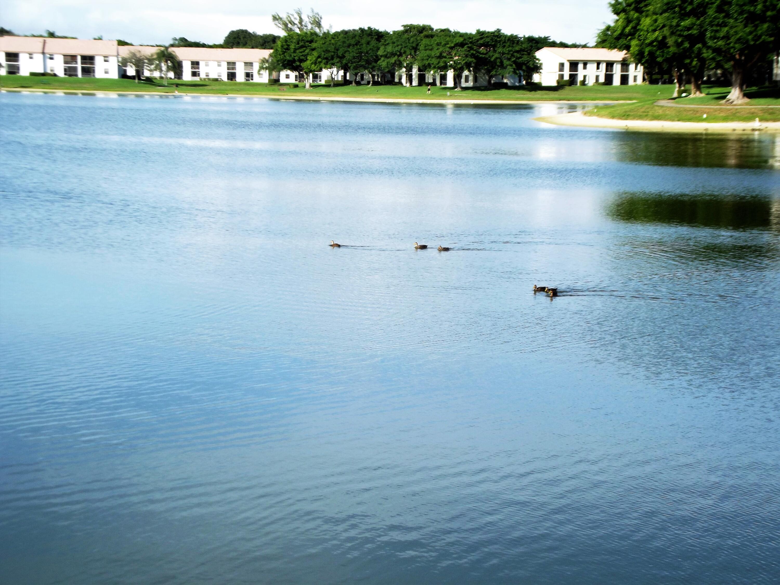 320 Norwood Terrace, Unit 113 Boca Raton, FL 33431 - Photo 43 of 44 p-DSCF2081