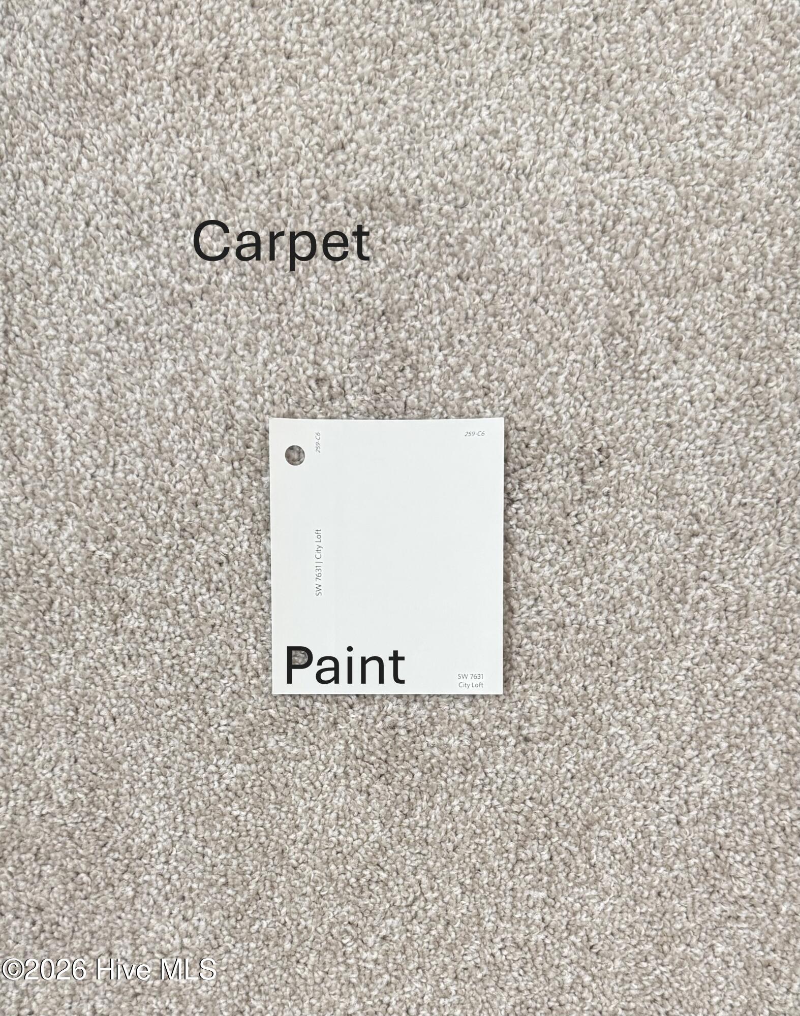 253 Crowville Street Raeford, NC 28376 - Photo 3 of 5 SL187 Carpet & Paint