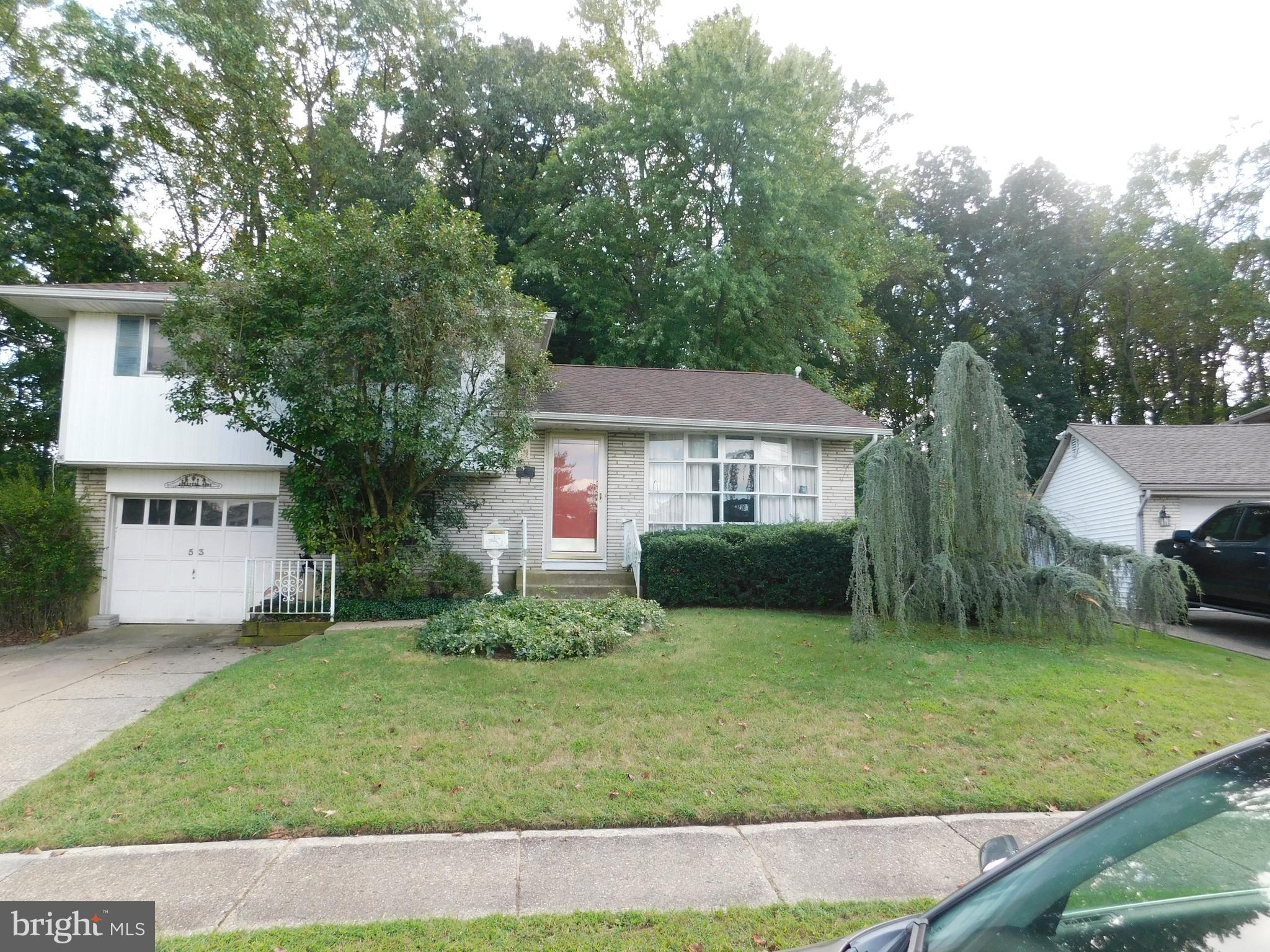 a view of a house with a yard and plants