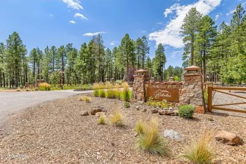 a view of a yard with trees
